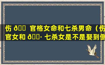 伤 🐠 官格女命和七杀男命（伤官女和 🌷 七杀女是不是娶到倒霉了）